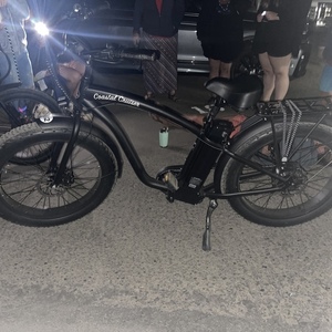 2022 Other Fat tire cruiser Black