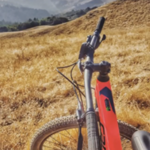 2019 Cannondale Womens’s Trail Tango 2 - S -Aluminum Pink