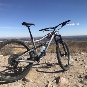 2021 Ibis Ripley AF Silver, gray or bare metal