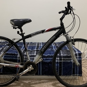 Schwinn Merano Black, Silver, gray or bare metal, and Red