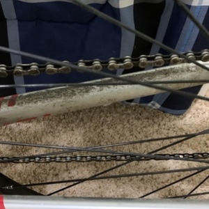 Schwinn Merano Black, Silver, gray or bare metal, and Red