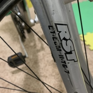 Schwinn Merano Black, Silver, gray or bare metal, and Red