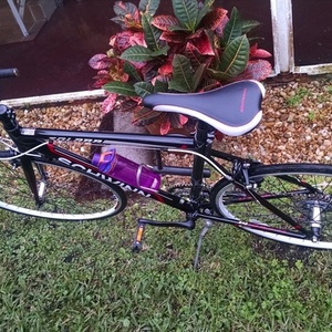 Schwinn solara Black