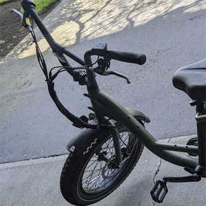 Rad Power Bikes Rad Runner 2 Green