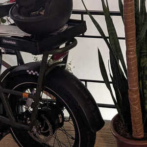 Rad Power Bikes Rad Runner 2 Green