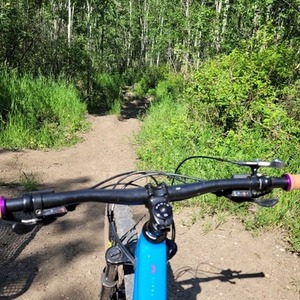 2021 Marin Bikes Bobcat trail 3 Blue