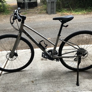 2022 Trek FX Silver, gray or bare metal