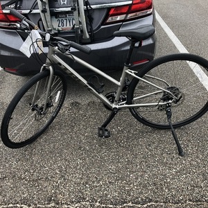 2022 Trek FX Silver, gray or bare metal