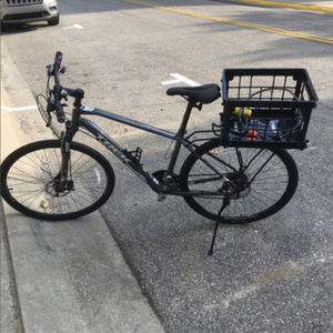 2018 Trek Dual Sport 1 Silver, gray or bare metal