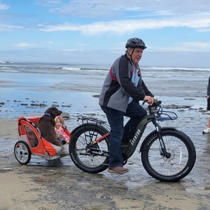 2022 Aventón Aventure Green