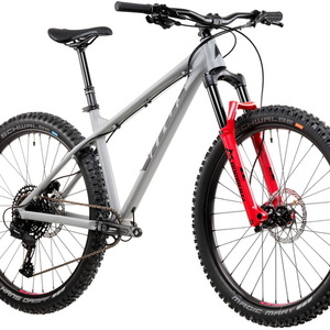 2022 Vitus Sentier Silver, gray or bare metal