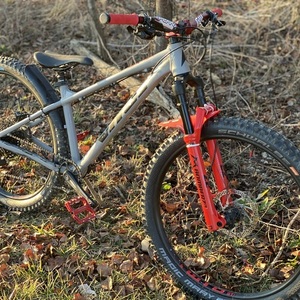 2022 Vitus Sentier Silver, gray or bare metal