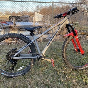 2022 Vitus Sentier Silver, gray or bare metal