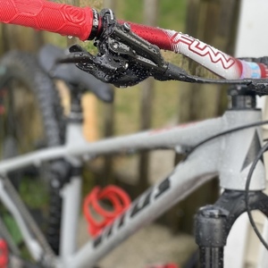 2022 Vitus Sentier Silver, gray or bare metal