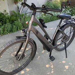 2021 Specialized Step through Silver, gray or bare metal