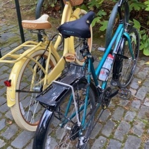 1994 Specialized Rockhopper Blue