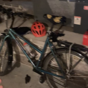 1994 Specialized Rockhopper Blue