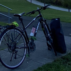 2016 Trek DS 8.4 Black