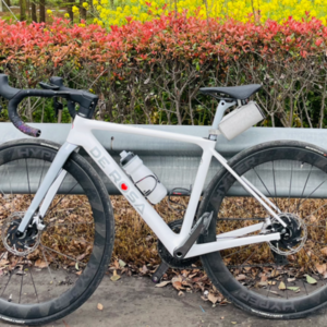 2021 De Rosa Merak White