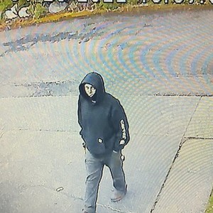 2018 Trek Powerfly 5 Black