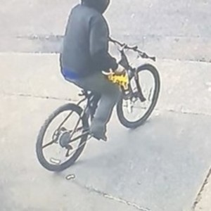 2018 Trek Powerfly 5 Black