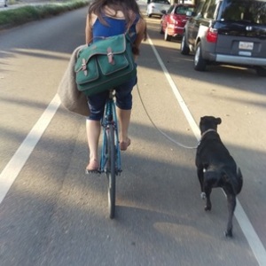 Schwinn Traveler Blue