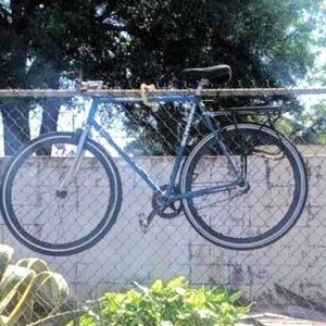 Schwinn Traveler Blue