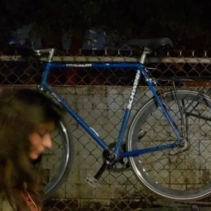 Schwinn Traveler Blue