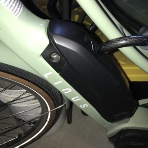 2022 Linus EMBER e6100 Green