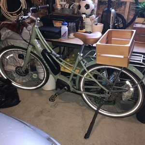2022 Linus EMBER e6100 Green