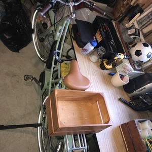 2022 Linus EMBER e6100 Green