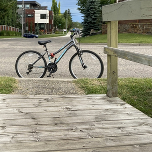 Nakamura Silver, gray or bare metal