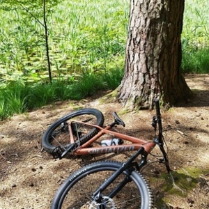 2021 Specialized Specialized fuse sports Orange