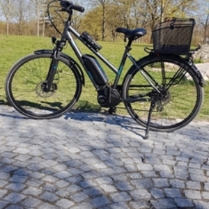 2019 Triumph Cycle E-Bird Silver, gray or bare metal