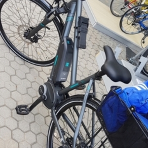 2019 Triumph Cycle E-Bird Silver, gray or bare metal