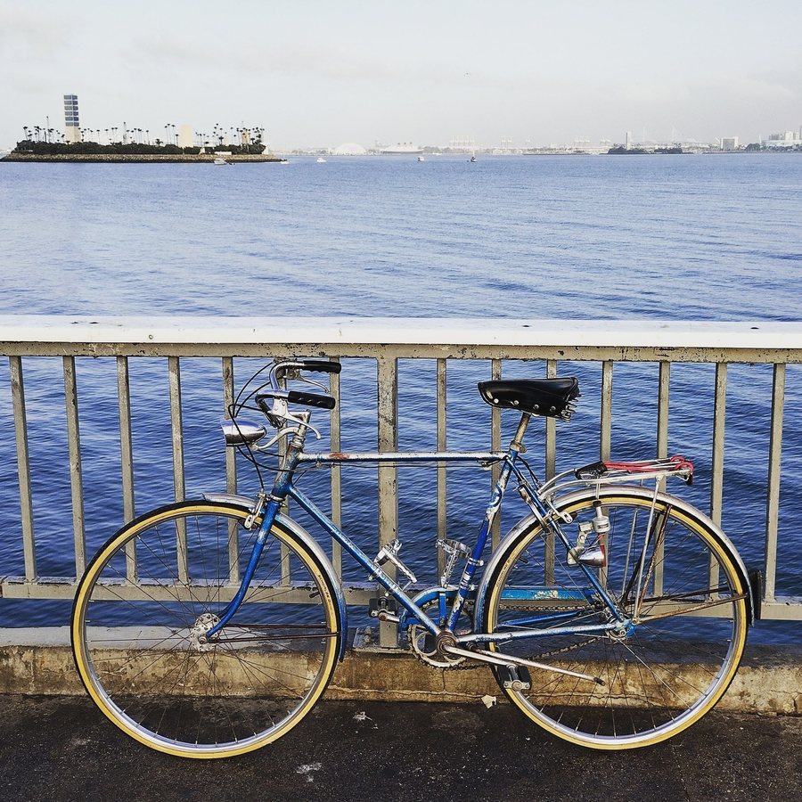 1970 schwinn suburban