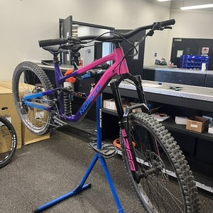 2022 Norco Bikes Shore Purple and Pink