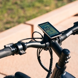 Aventón Level Commute Silver, gray or bare metal