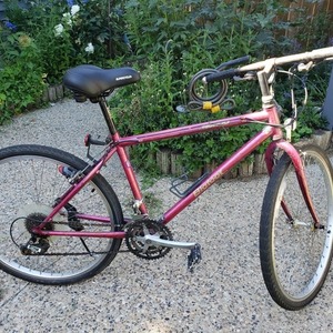 1995 Norco Bikes Norco Bigfoot Purple