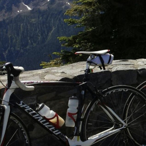 2010 Specialized Tarmac Comp Double White, Black, and Red