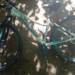 Schwinn S8113WM White and Teal