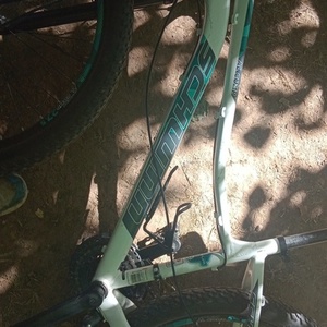 Schwinn S8113WM White and Teal