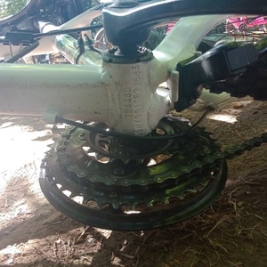 Schwinn S8113WM White and Teal