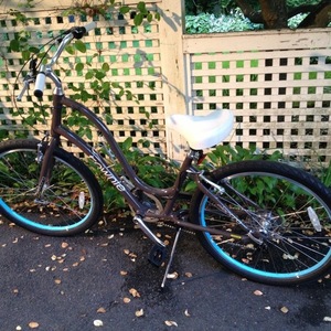 2014 Electra Brown