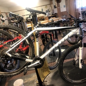 2010 SCOTT Scale White