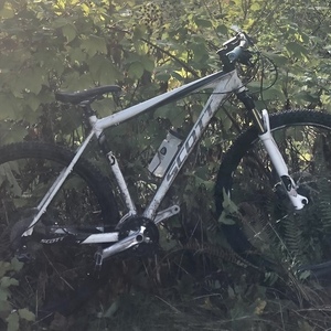 2010 SCOTT Scale White