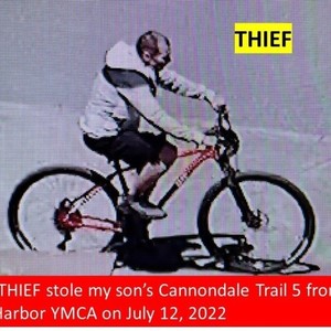 2021 Cannondale Trail 5 Red