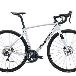 2020 Specialized Roubaix Silver, gray or bare metal