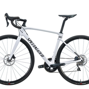 2020 Specialized Roubaix Silver, gray or bare metal