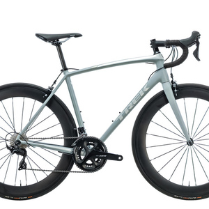 2019 Trek Emonda ALR Silver, gray or bare metal